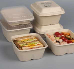 Disposable lunch box