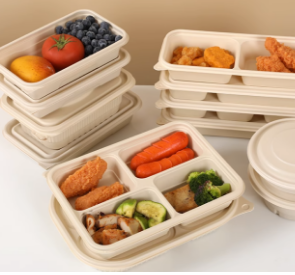Disposable lunch box