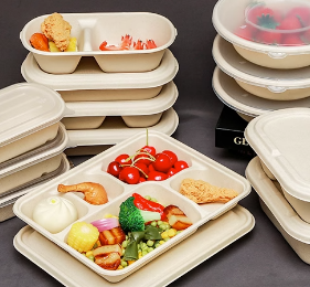 Disposable lunch box