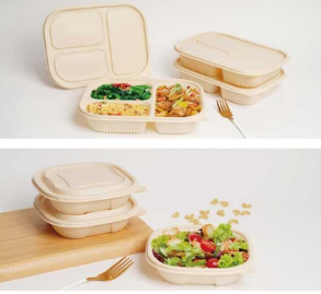 Disposable American Japanese Lunch Box 