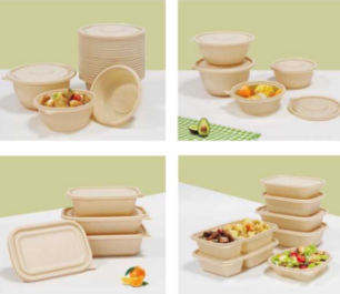 Disposable environmentally friendly degradable lunch box